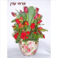 סידור עדן 23